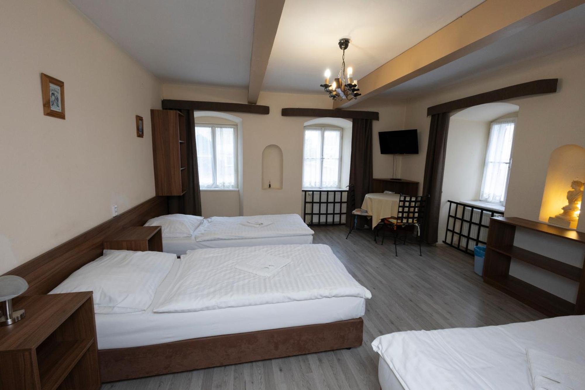 Pension Centrum Ржичани Екстер'єр фото