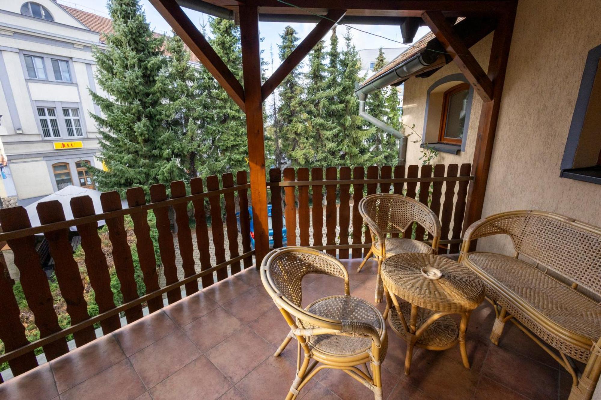 Pension Centrum Ржичани Екстер'єр фото